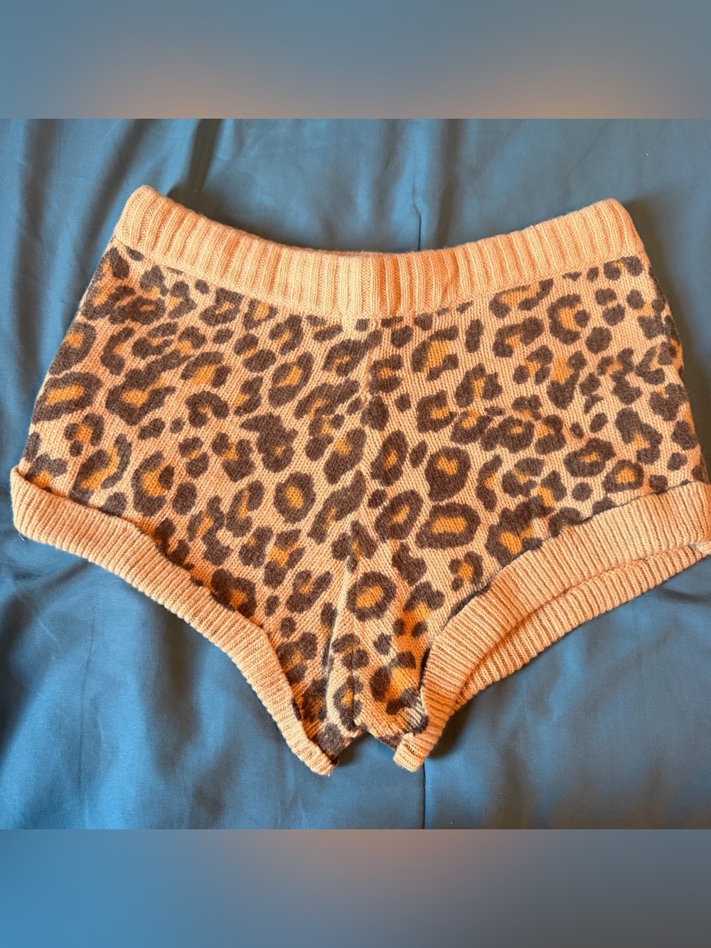Spell Wildcat Shorts! - Picture 10 of 10